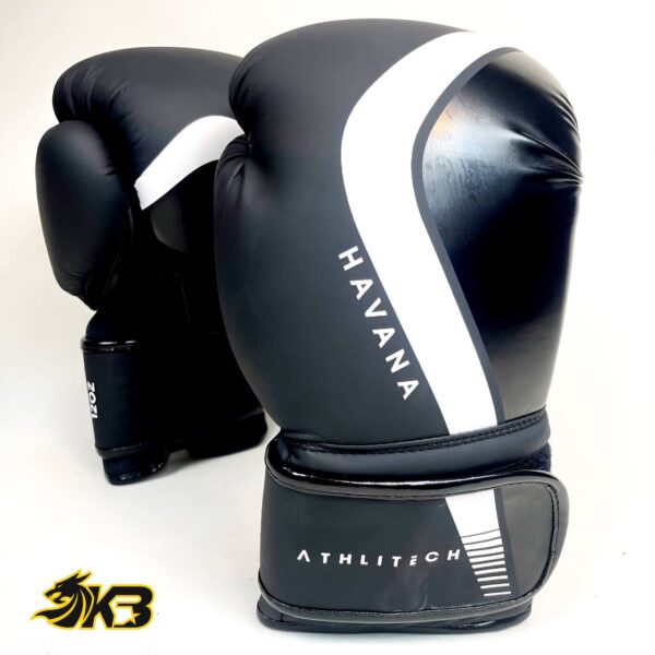 photo 2025 04 27 12 17 37 (سایت کیسه بوکس)