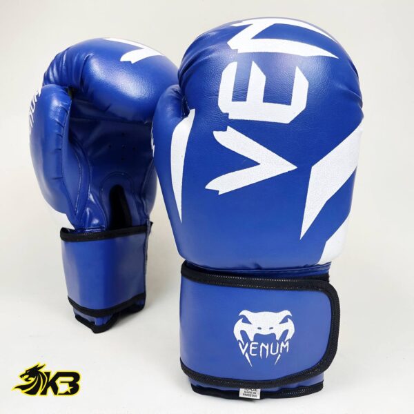 photo 2025 05 05 09 58 27 (سایت کیسه بوکس)