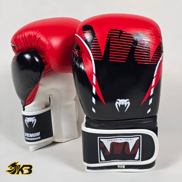 photo_2025-06-12_13-49-30 photo 2025 06 12 13 49 30 (سایت کیسه بوکس)