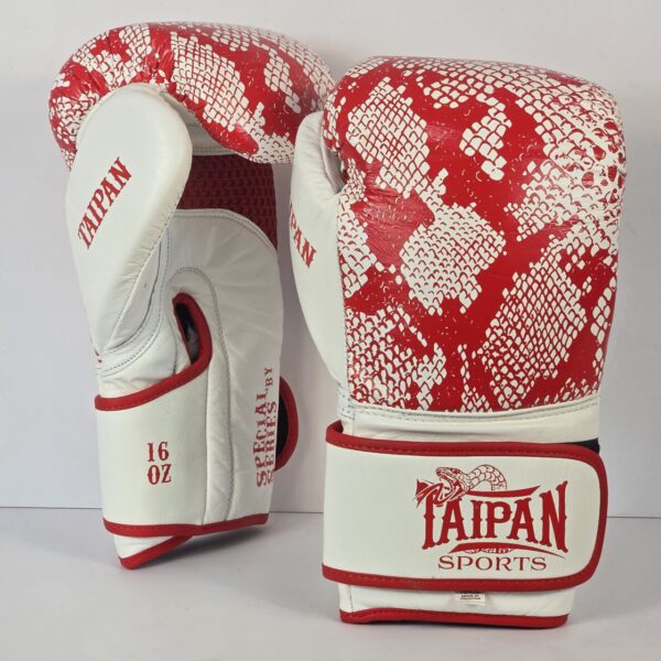 photo 2025 10 19 15 00 26 (سایت کیسه بوکس)