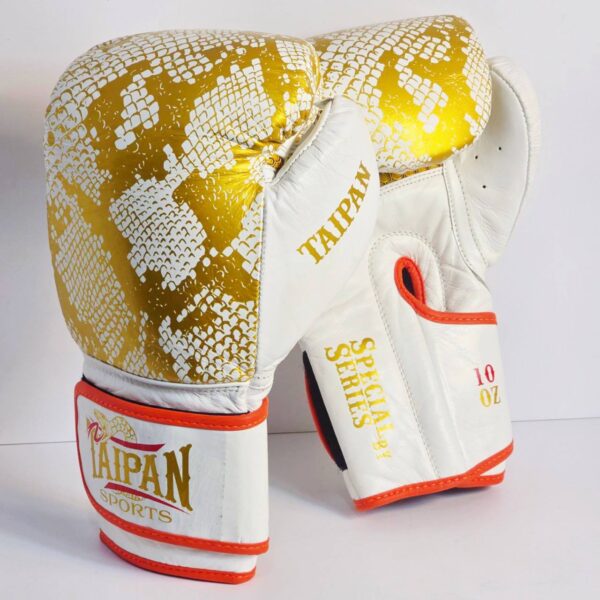 photo 2025 10 19 15 37 31 (سایت کیسه بوکس)