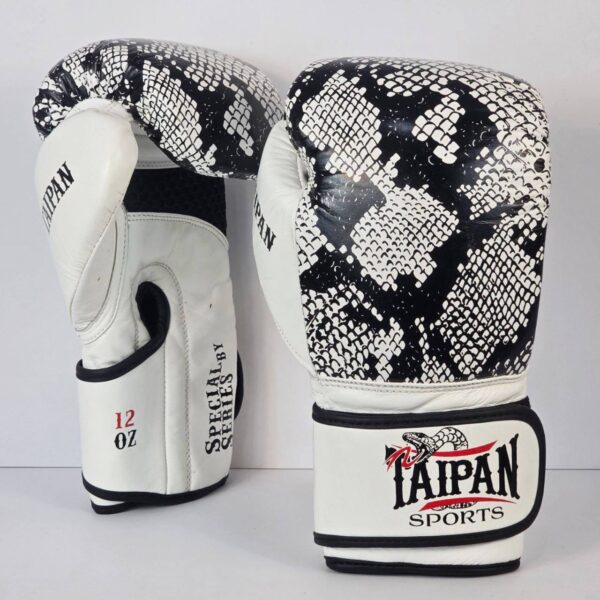 photo 2025 10 19 15 38 10 (سایت کیسه بوکس)