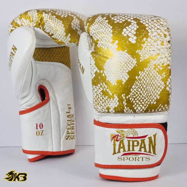 photo_2025-10-19_15-38-42 photo 2025 10 19 15 38 42 (سایت کیسه بوکس)